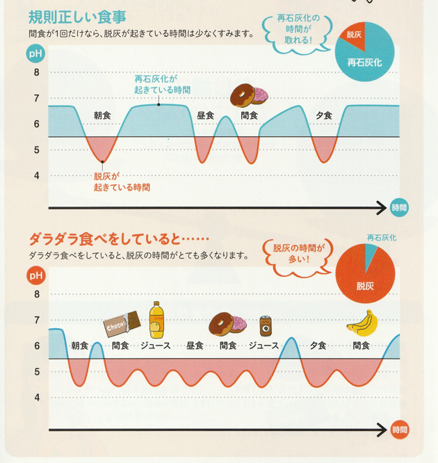 むし歯の予防と治療2